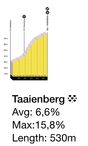 Profil du Taaienberg